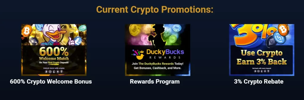 Crypto Bonus Offer